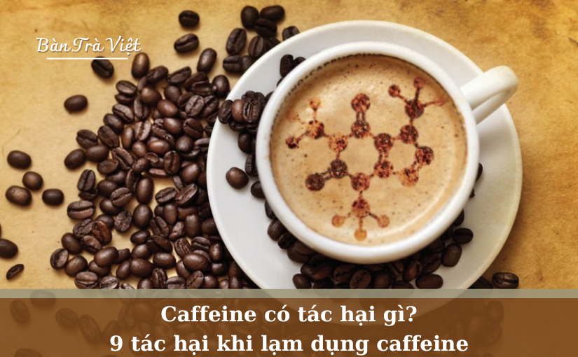 Caffeine có tác hại gì? 8 tác hại khi lạm dụng caffeine