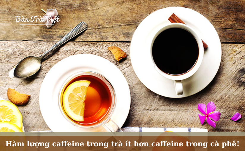 Hàm lượng caffeine trong trà có thực sự ít hơn caffeine trong cà phê?