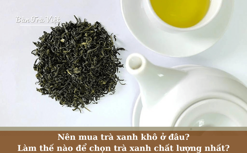 Nên mua trà xanh khô ở đâu? Làm thế nào để chọn trà xanh chất lượng nhất?